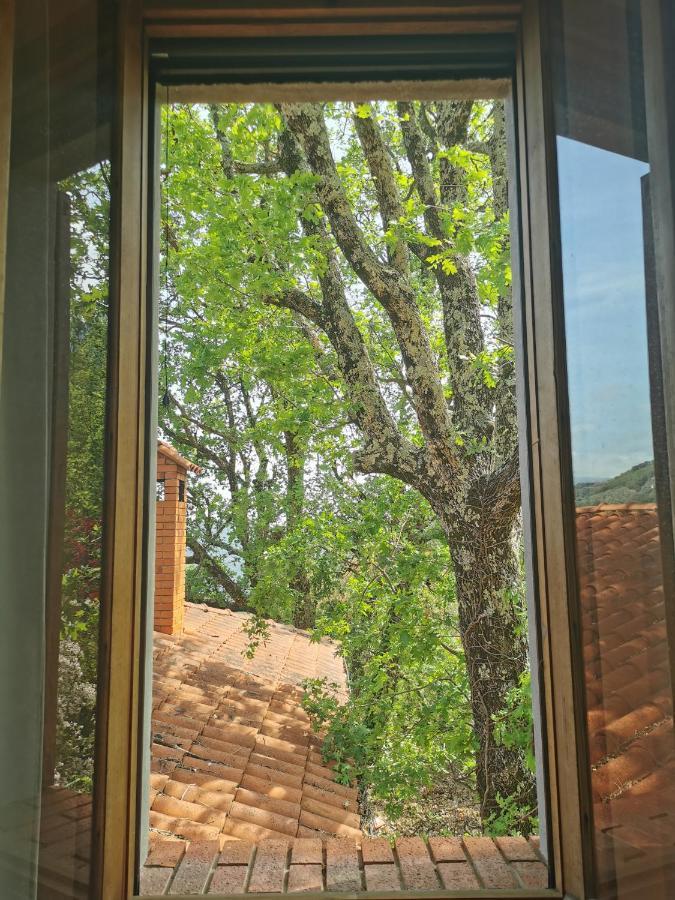 L'Albero Del Cioccolato Bed and Breakfast Pigna Eksteriør billede