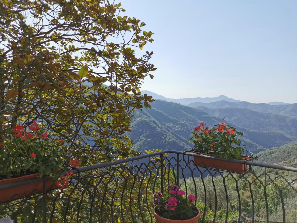 L'Albero Del Cioccolato Bed and Breakfast Pigna Eksteriør billede