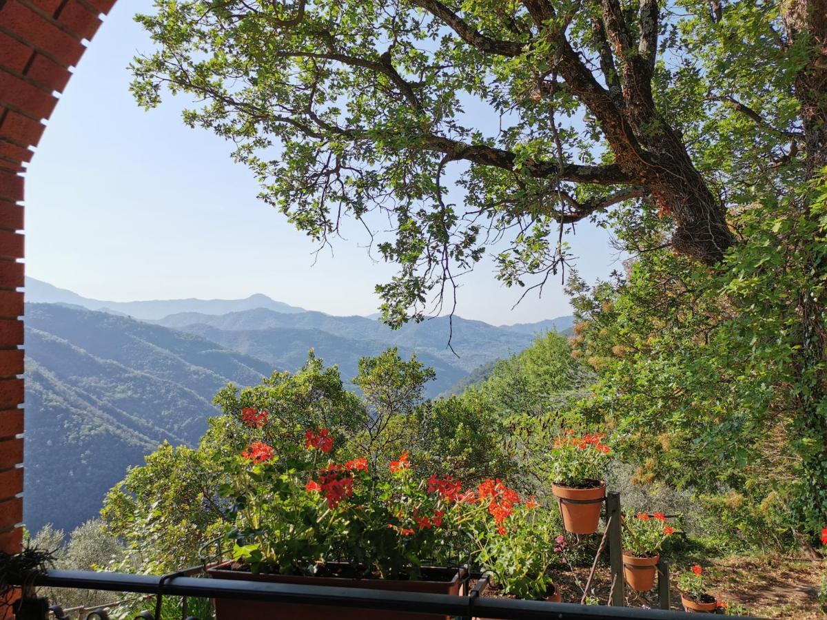 L'Albero Del Cioccolato Bed and Breakfast Pigna Eksteriør billede