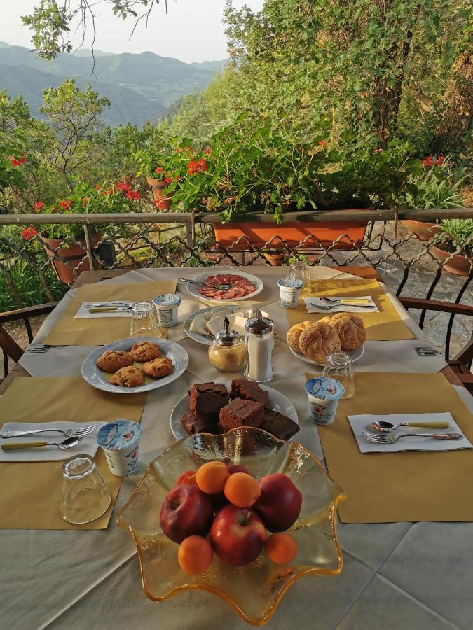 L'Albero Del Cioccolato Bed and Breakfast Pigna Eksteriør billede