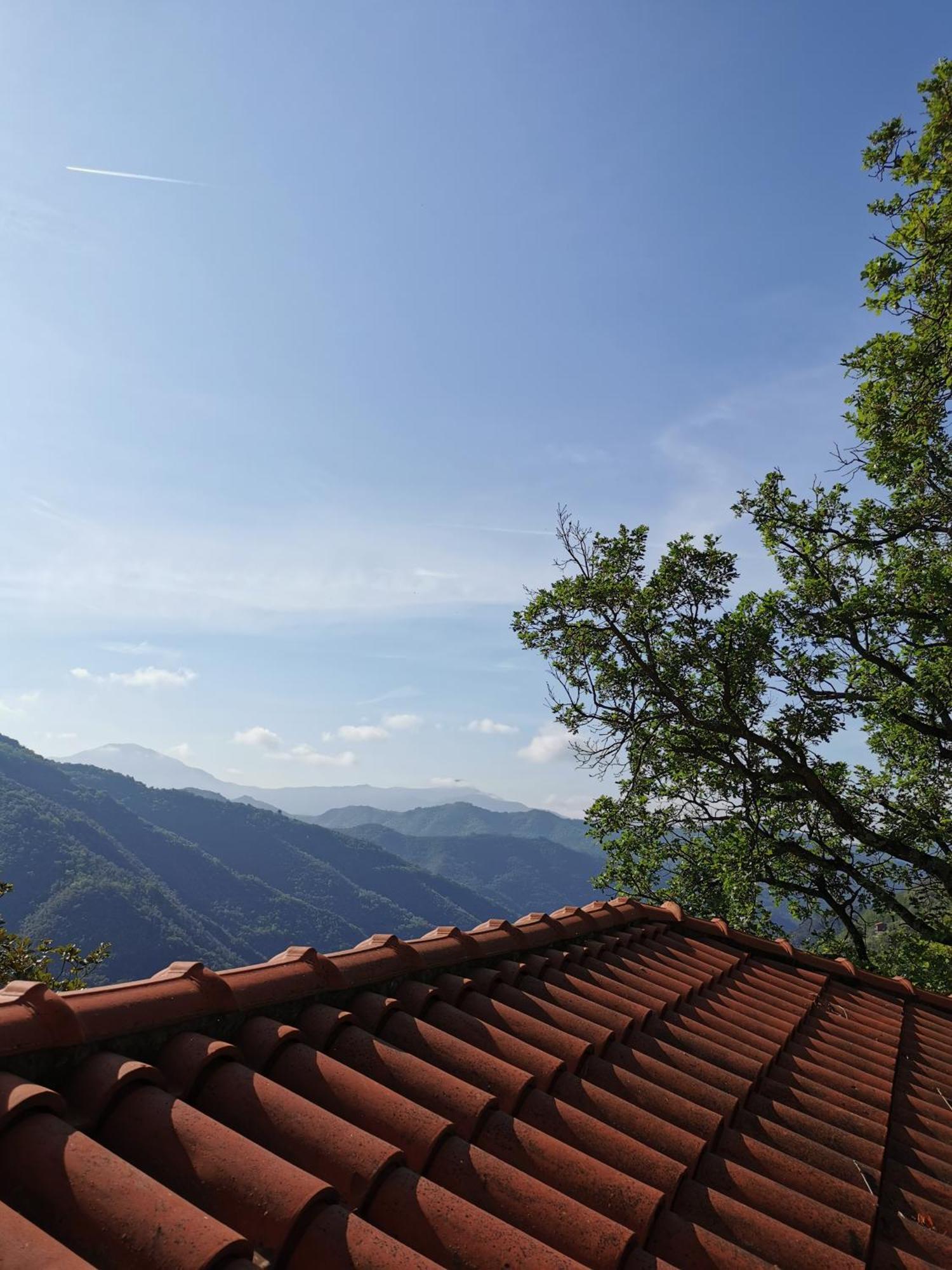 L'Albero Del Cioccolato Bed and Breakfast Pigna Værelse billede